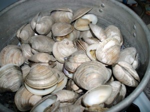 Steamed_clams
